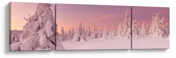 Obraz - Drzewa pod warstwą śniegu (170x50 cm)