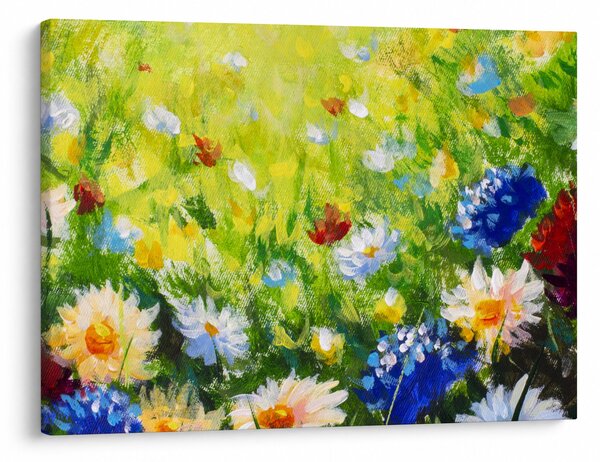 Obraz kwitnącej łąki, obraz olejny (70x50 cm)