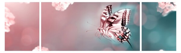 Obraz - Motyl wśród kwiatów (170x50 cm)