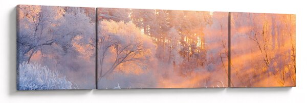 Obraz - Mroźny świt (170x50 cm)