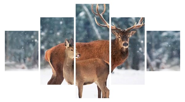 Obraz Jelenia z łanią (125x70 cm)