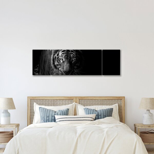 Obraz dzikiego tygrysa (170x50 cm)