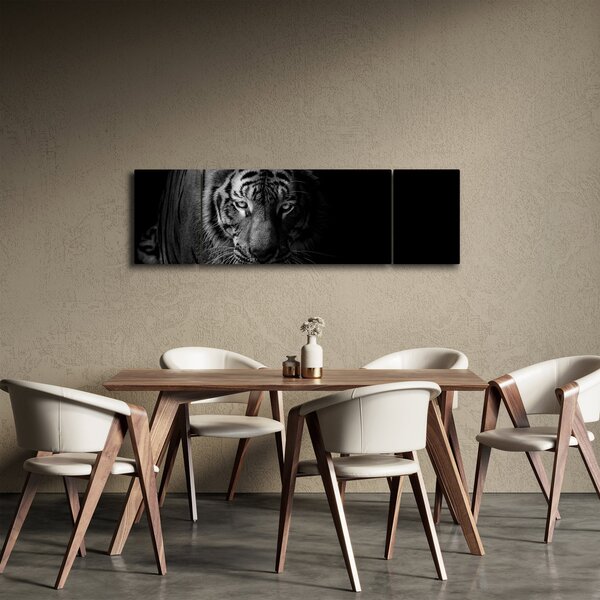 Obraz dzikiego tygrysa (170x50 cm)
