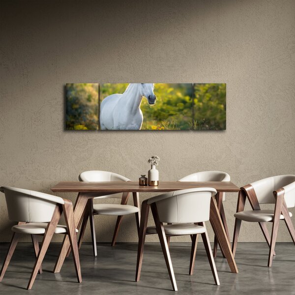 Obraz białego konia na łące (170x50 cm)