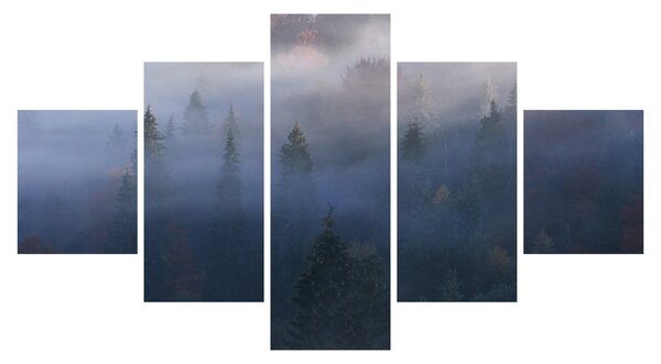 Obraz - Las we mgle, Karpaty, Ukraina (125x70 cm)