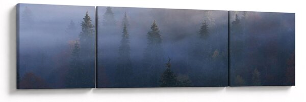 Obraz - Las we mgle, Karpaty, Ukraina (170x50 cm)