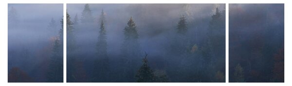 Obraz - Las we mgle, Karpaty, Ukraina (170x50 cm)