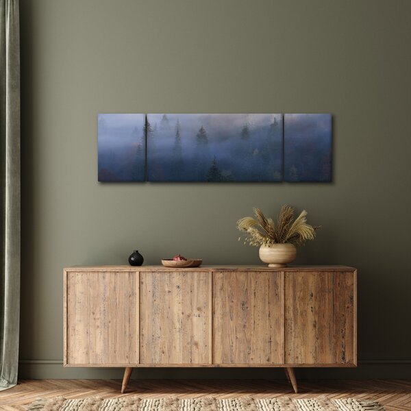 Obraz - Las we mgle, Karpaty, Ukraina (170x50 cm)