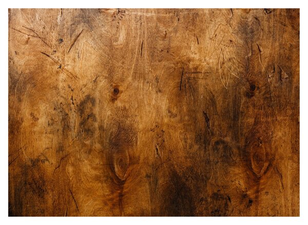 Obraz - Detal drewna (70x50 cm)