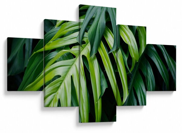 Obraz - Tropikalne liście (125x70 cm)