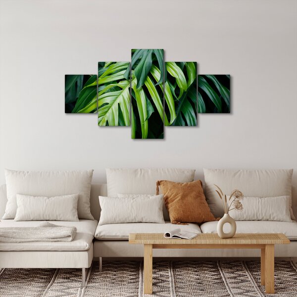 Obraz - Tropikalne liście (125x70 cm)
