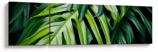 Obraz - Tropikalne liście (170x50 cm)