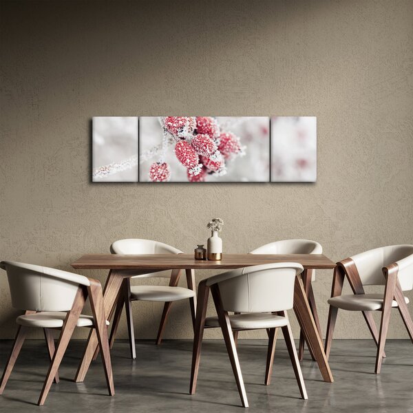 Obraz - Mrożone owoce (170x50 cm)