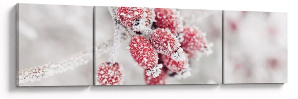 Obraz - Mrożone owoce (170x50 cm)