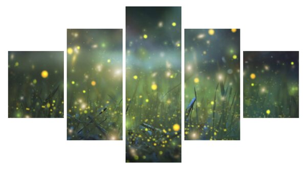 Obraz - Magiczna noc (125x70 cm)
