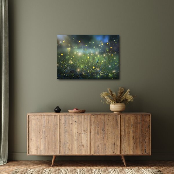 Obraz - Magiczna noc (70x50 cm)