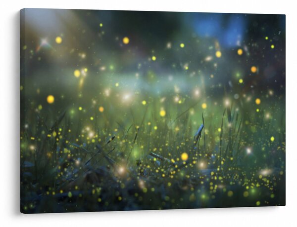 Obraz - Magiczna noc (70x50 cm)