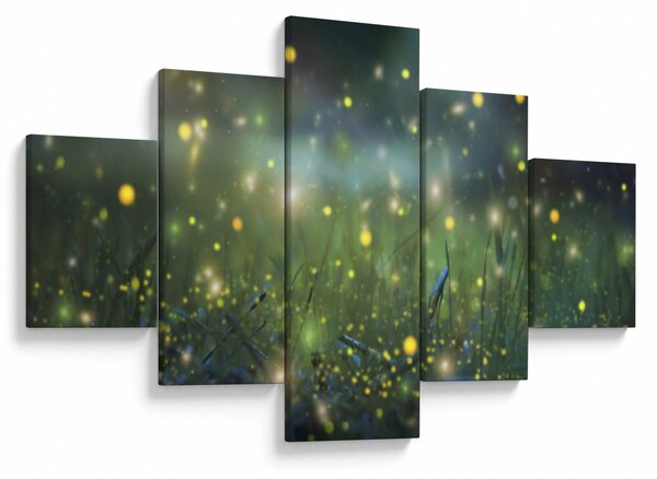 Obraz - Magiczna noc (125x70 cm)