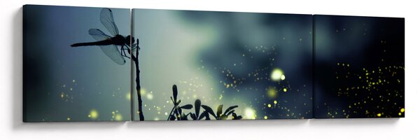 Obraz - Ważka w błyszczącej nocy (170x50 cm)