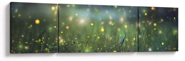Obraz - Magiczna noc (170x50 cm)