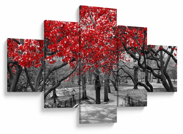 Obraz - Czerwone drzewa, Central Park, New York (125x70 cm)