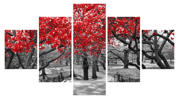 Obraz - Czerwone drzewa, Central Park, New York (125x70 cm)