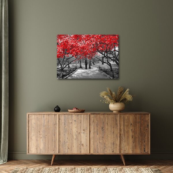 Obraz - Czerwone drzewa, Central Park, New York (70x50 cm)