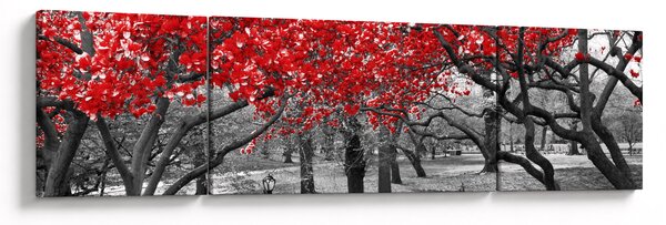 Obraz - Czerwone drzewa, Central Park, New York (170x50 cm)