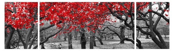 Obraz - Czerwone drzewa, Central Park, New York (170x50 cm)