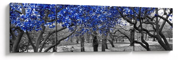 Obraz - Niebieskie drzewa, Central Park, New York (170x50 cm)