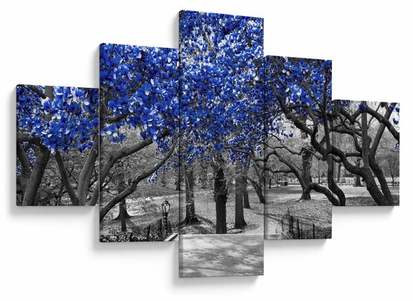Obraz - Niebieskie drzewa, Central Park, New York (125x70 cm)