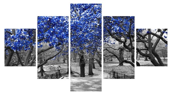 Obraz - Niebieskie drzewa, Central Park, New York (125x70 cm)