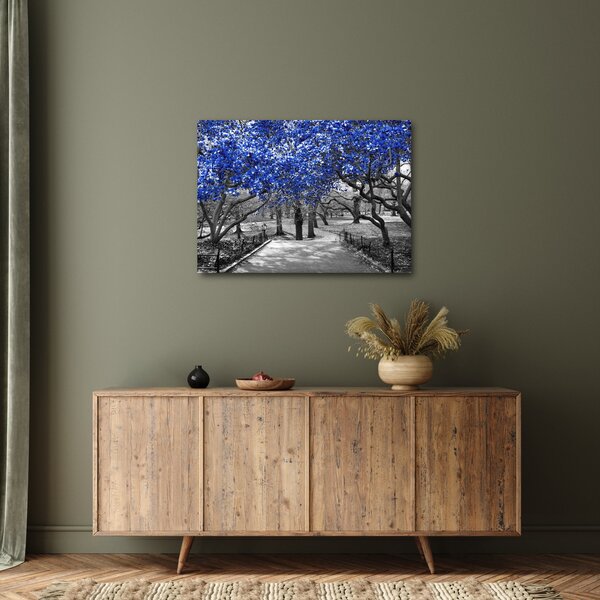 Obraz - Niebieskie drzewa, Central Park, New York (70x50 cm)