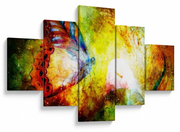 Obraz - Kosmiczny motyl (125x70 cm)