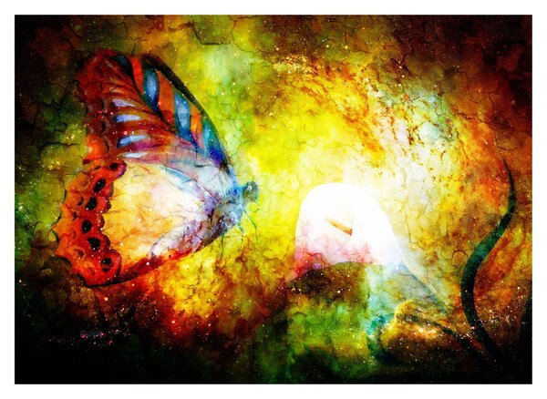 Obraz - Kosmiczny motyl (70x50 cm)
