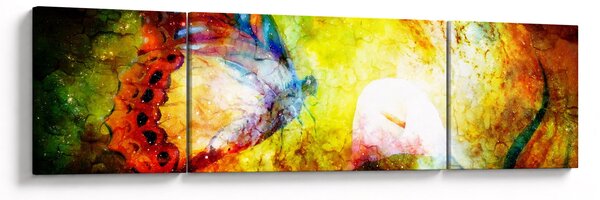Obraz - Kosmiczny motyl (170x50 cm)