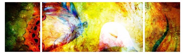 Obraz - Kosmiczny motyl (170x50 cm)