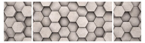 Obraz - Sześciokąty w betonie (170x50 cm)