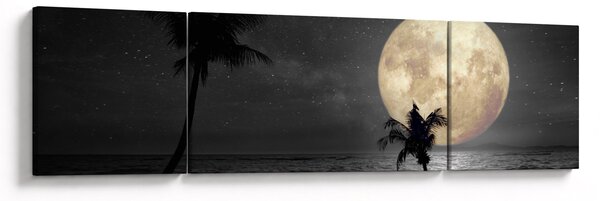 Obraz - Plaża pod pełnią księżyca w odcieniach szarości (170x50 cm)