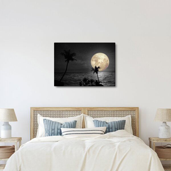 Obraz - Plaża pod pełnią księżyca w odcieniach szarości (70x50 cm)