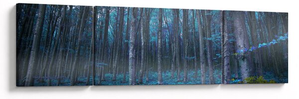 Obraz - Magiczny las (170x50 cm)