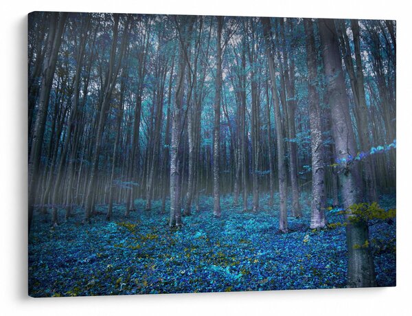Obraz - Magiczny las (70x50 cm)