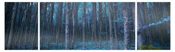 Obraz - Magiczny las (170x50 cm)
