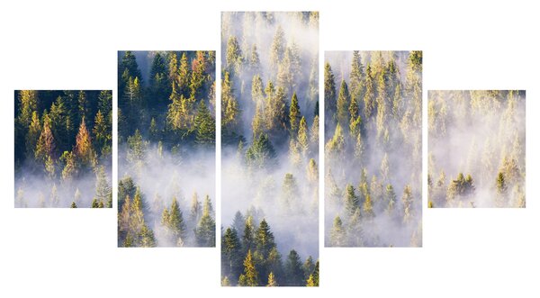 Obraz drzew we mgle (125x70 cm)