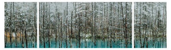 Obraz - Turkusowy staw, Biei, Japonia (170x50 cm)