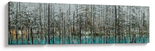 Obraz - Turkusowy staw, Biei, Japonia (170x50 cm)