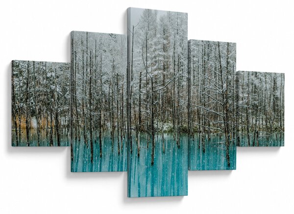 Obraz - Turkusowy staw, Biei, Japonia (125x70 cm)