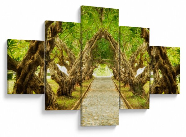 Obraz - Żywy tunel plumerii (125x70 cm)
