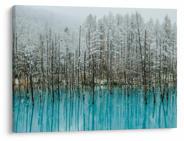 Obraz - Turkusowy staw, Biei, Japonia (70x50 cm)