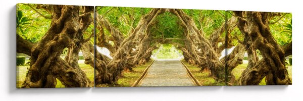 Obraz - Żywy tunel plumerii (170x50 cm)